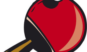 TT-Ergebnismeldung vom Wochenende