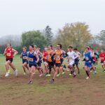 Bronze für Johann Escher auf Hessenebene
