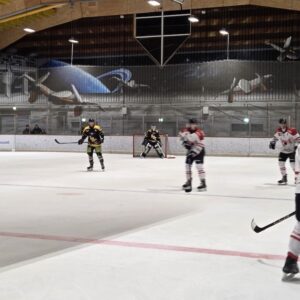 𝗠𝗼𝗲𝗿𝘀 𝗕𝗹𝗮𝗰𝗸 𝗧𝗶𝗴𝗲𝗿𝘀 𝘃𝘀 𝗘𝗚 𝗗𝗶𝗲𝘇-𝗟𝗶𝗺𝗯𝘂𝗿𝗴 𝟮:𝟭𝟯 (𝟮:𝟰,𝟬:𝟰,𝟬:𝟱)