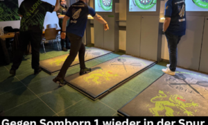 Spielbericht vom 18. Spieltag  – Green Lions Staffel